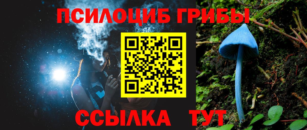 Псилоцибиновые грибы GOLDEN TEACHER  Вход с VPN  Благодарный 